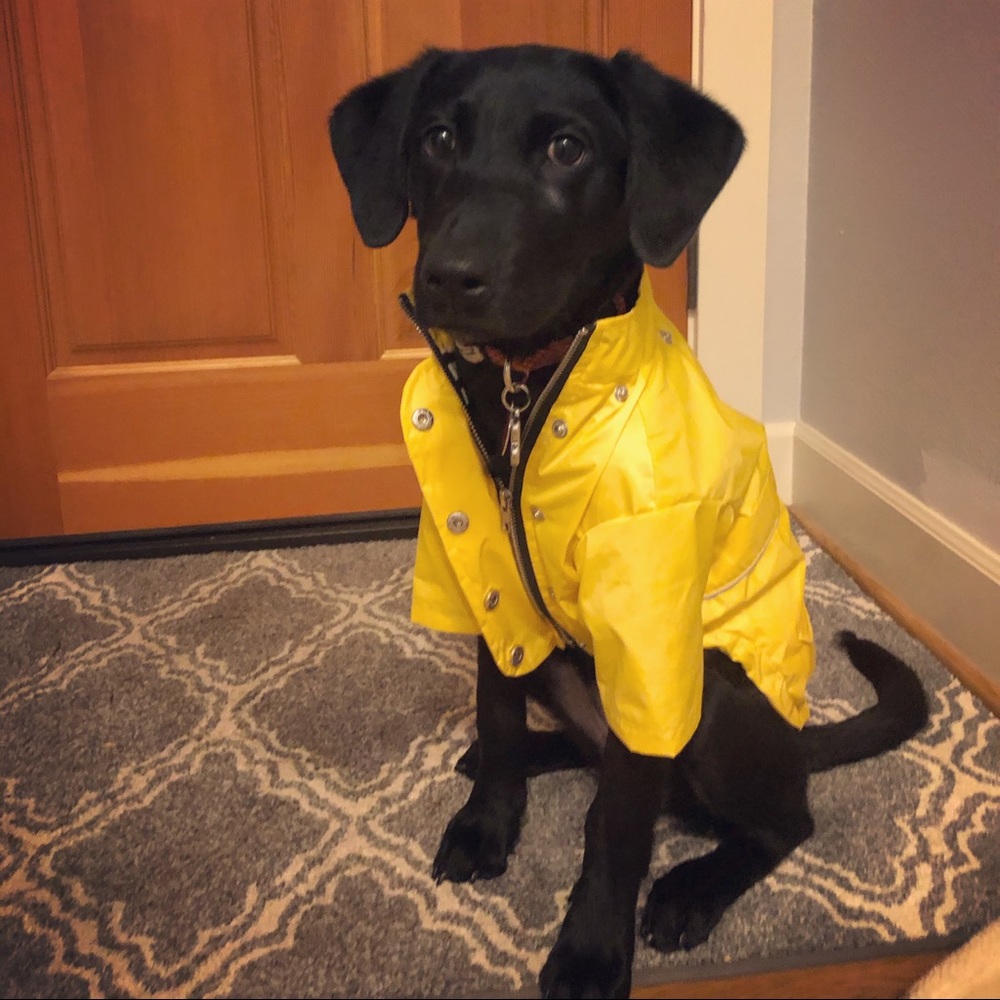 Meet your Posher, Tiffany